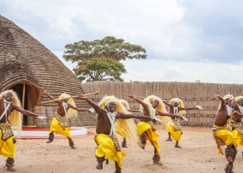 Cultural Activity: IBYI IWACU (GORILLA GUARDIANS) 